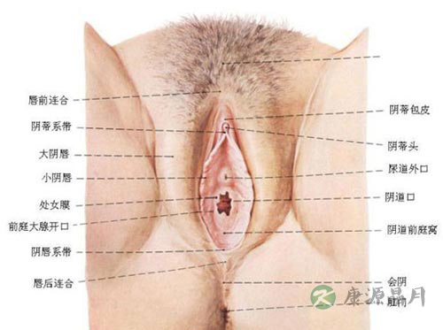 深度探秘女人私处娇羞地带