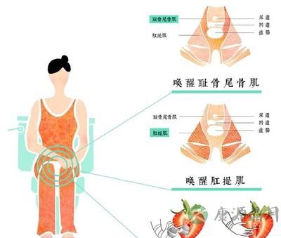 性爱肌怎样练阴道粉嫩又紧致？