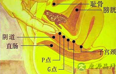图解：女人全身高潮G点分配图