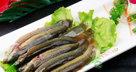男性精子活力低怎么治