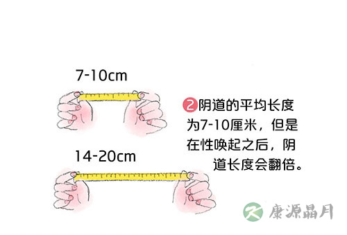 套图：阴道有多长，能容纳多大丁丁