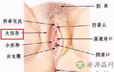史上最震撼的女性生殖器真实图片