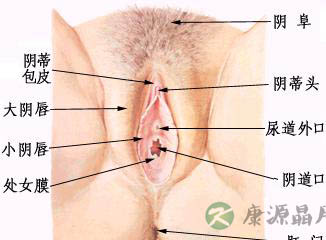 大尺度解密处女与非处女私处区别