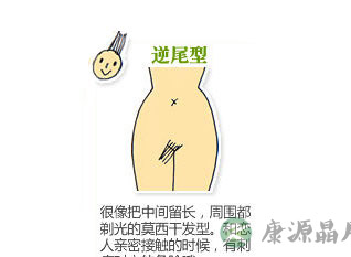 图解史上最全女性私处毛发形状