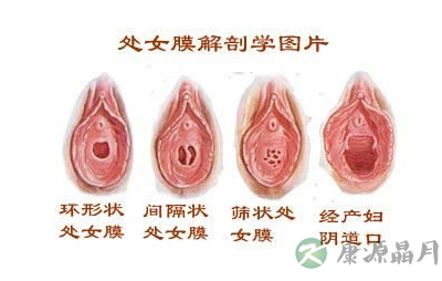 高清图片：5倍放大女人深藏处女膜