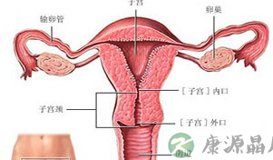 详述那些不为人知的男女私处秘密