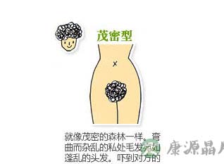 图解史上最全女性私处毛发形状