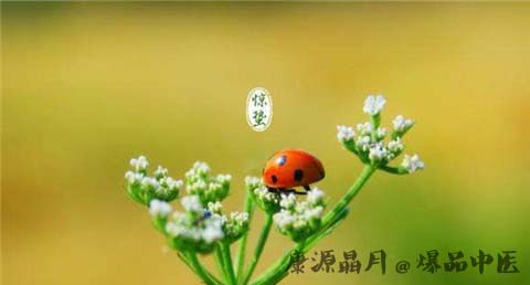惊蛰的传说