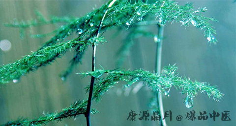 谷雨节气的谚语