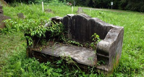 清明节吃什么肉好