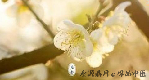 宁夏立春的习俗