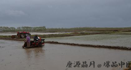 今年小满是什么时候