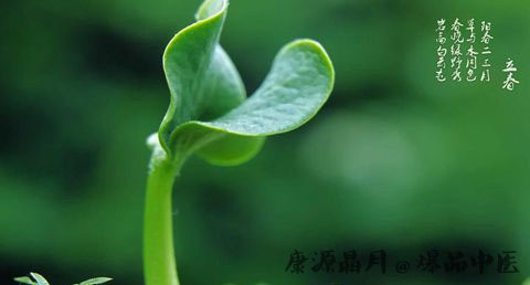 厦门立春的习俗
