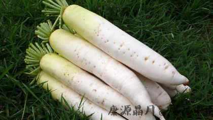 霜降必吃的十一种食物