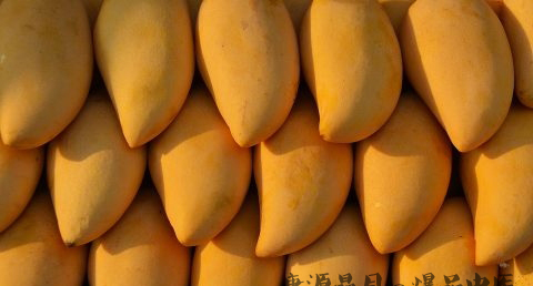 小暑养生原则
