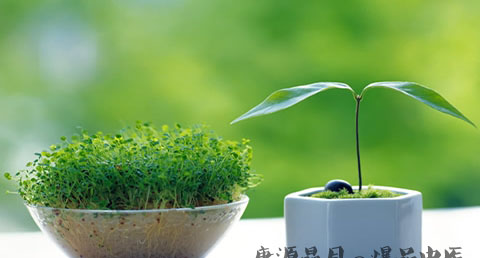闰六月有什么讲究