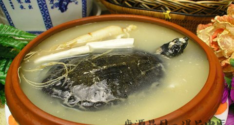 白露养生推荐饮食