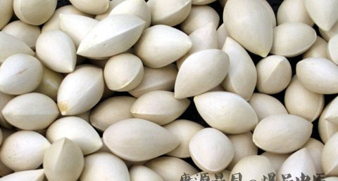 白露养生吃什么