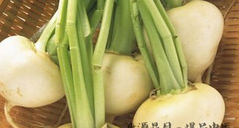 大雪吃什么养生