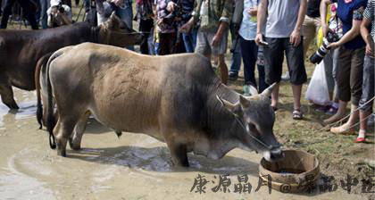 民间习俗春分吃什么