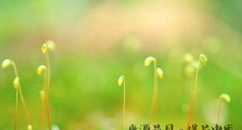 今年惊蛰的时间