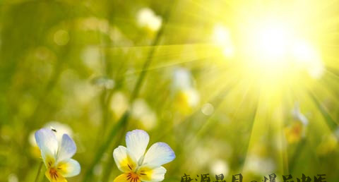 什么是末伏