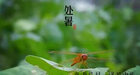 处暑是在什么季节 处暑是在什么季节