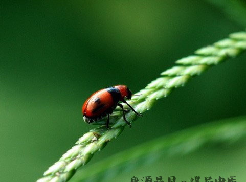惊蛰养生：滋阴润燥助健康