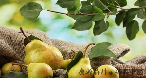 小寒养生吃什么最好