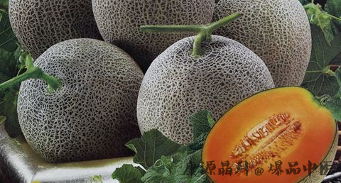 中伏吃什么蔬菜好