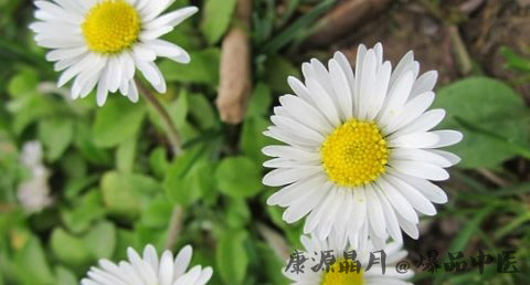 雨水节气养生常识