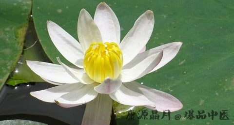 立春是什么时候