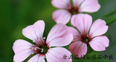 小暑节气代表什么