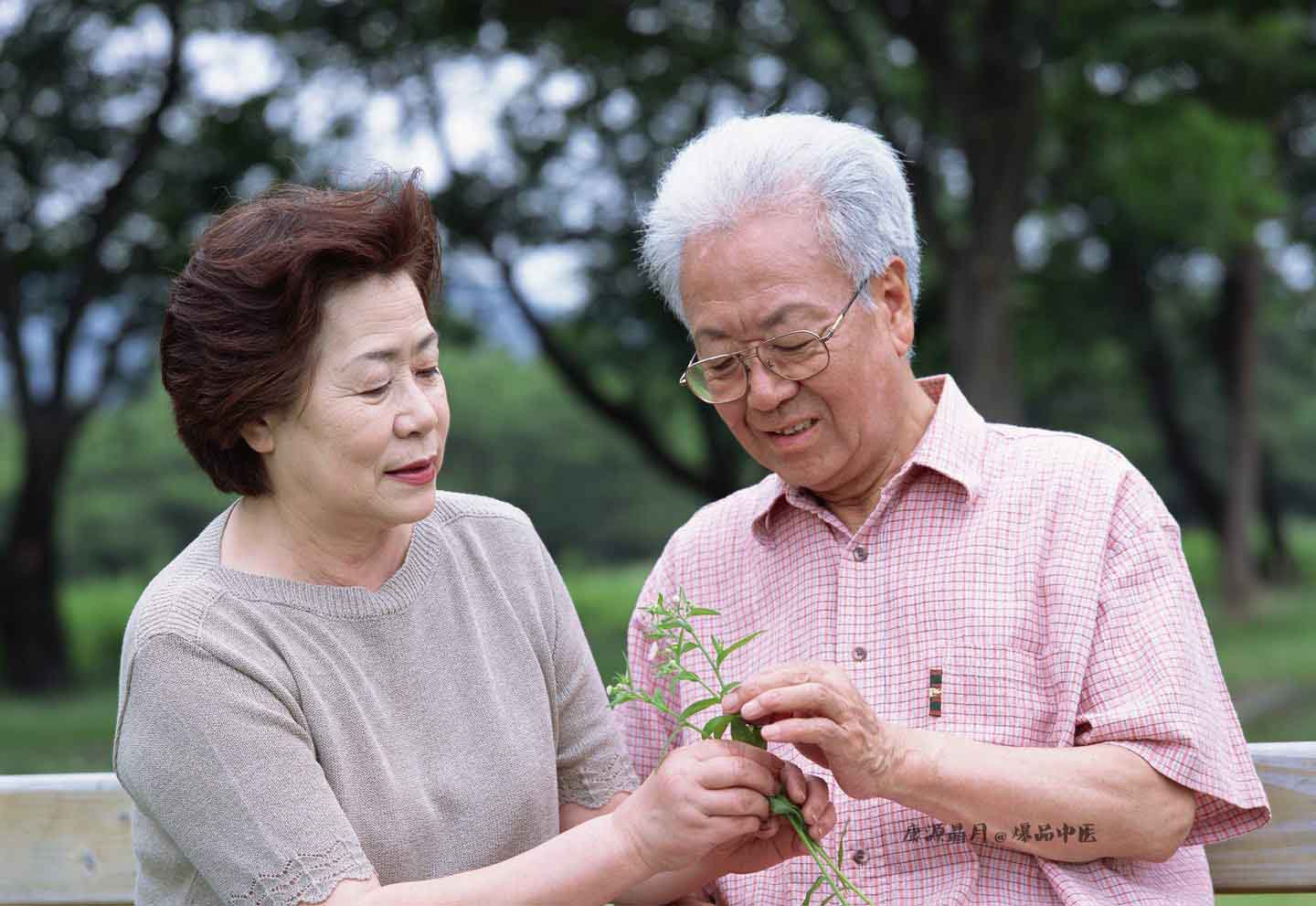惊蛰节气 保肝养脾