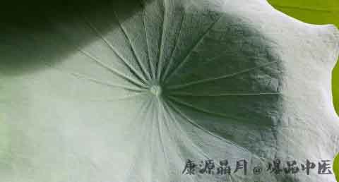 小暑养生知识