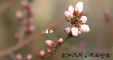 春分习俗