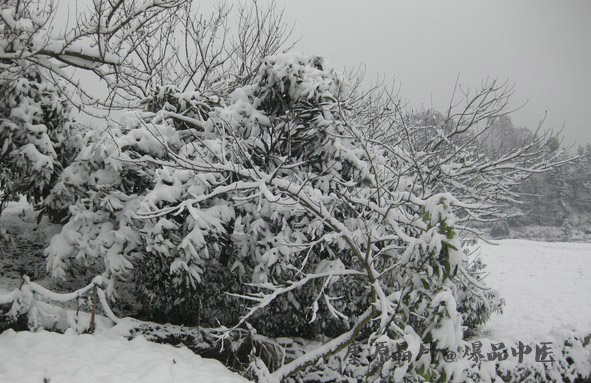 大雪节气养生宜适度
