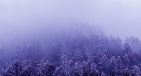 清明节扫墓要注意什么
