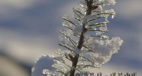 大雪节气由来