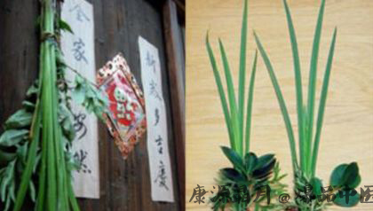 端午节的来历和习俗知多少