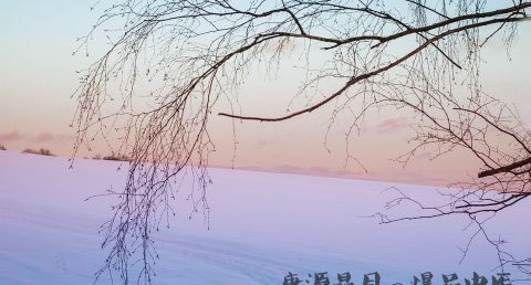 腊八节的风俗