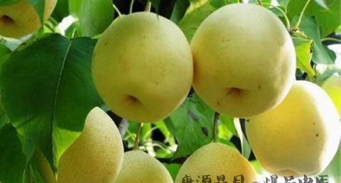 秋分养生保健