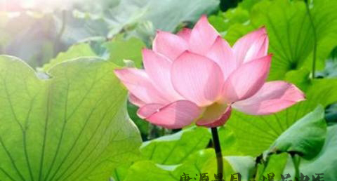 每隔几年一个闰月