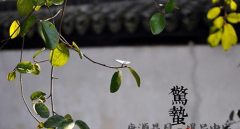 24节气中惊蛰的由来