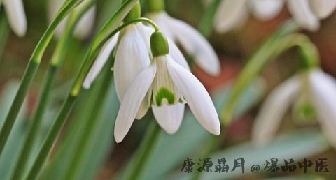雨水节气过后是什么