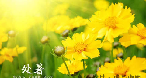 处暑代表什么