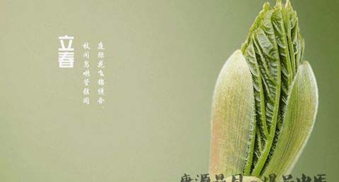 海南立春的习俗