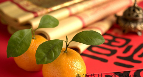 鸡年宝宝几月出生好