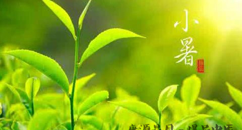 24节气小暑是什么意思