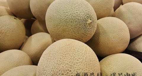 小满节气养生茶有哪些
